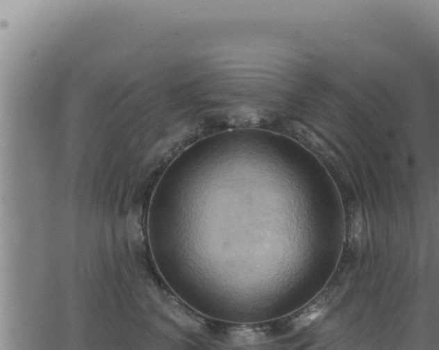 X0000062890616200601171515