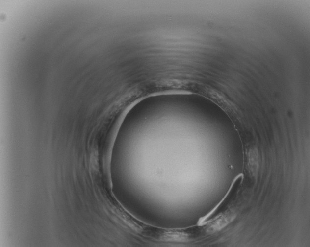 X0000062890617200601171515