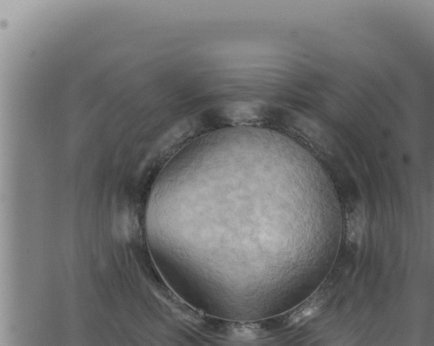 X0000062890618200601171515