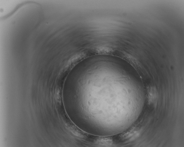 X0000062890619200601171515