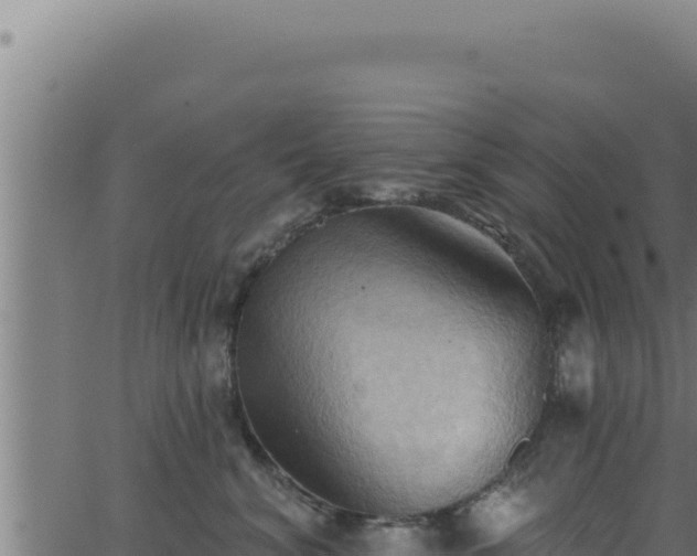 X0000062890620200601171515