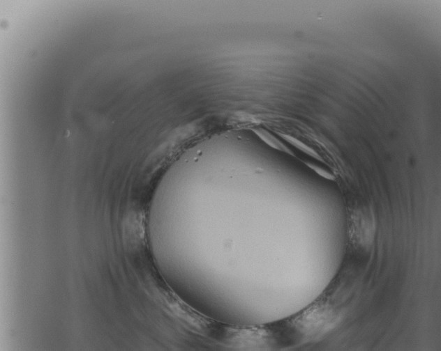 X0000062890621200601171515