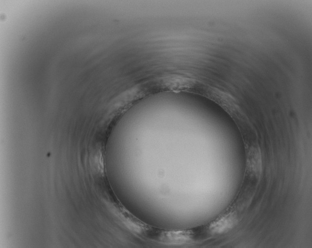 X0000062890622200601171515