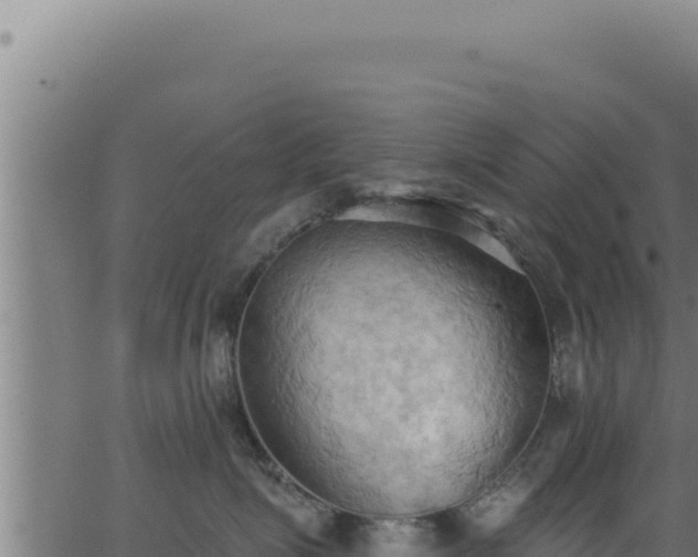 X0000062890623200601171515