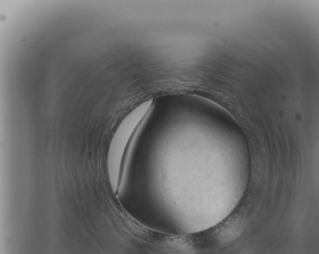 X0000062890624200601171515