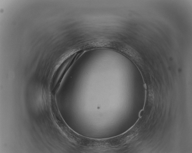 X0000062890626200601171514