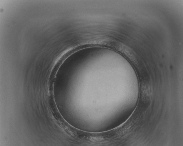 X0000062890628200601171514