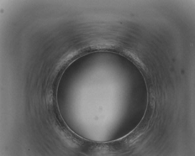 X0000062890631200601171514