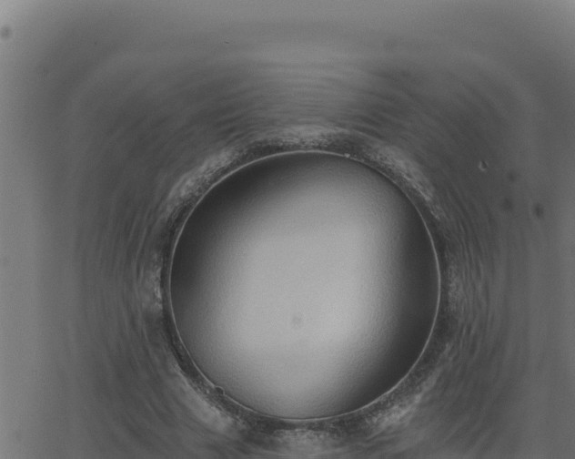 X0000062890633200601171514