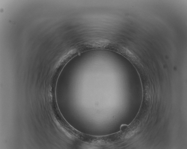 X0000062890634200601171514