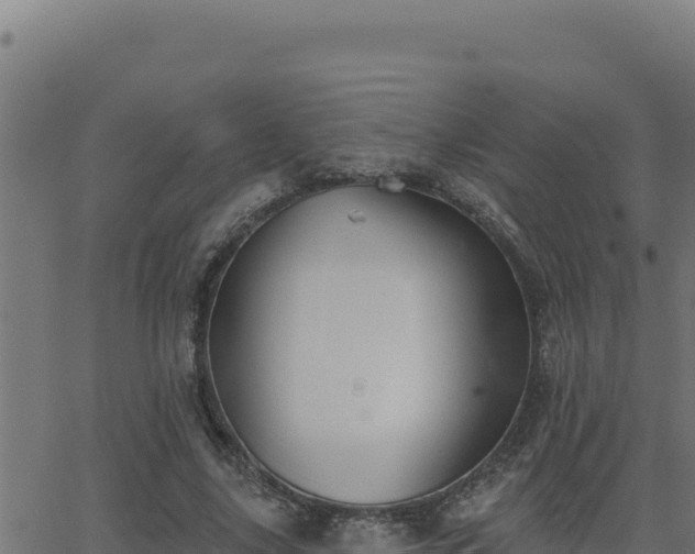 X0000062890635200601171514