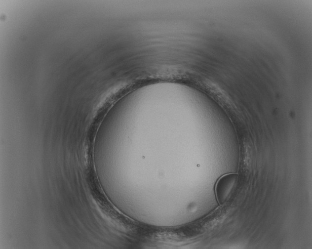 X0000062890636200601171514