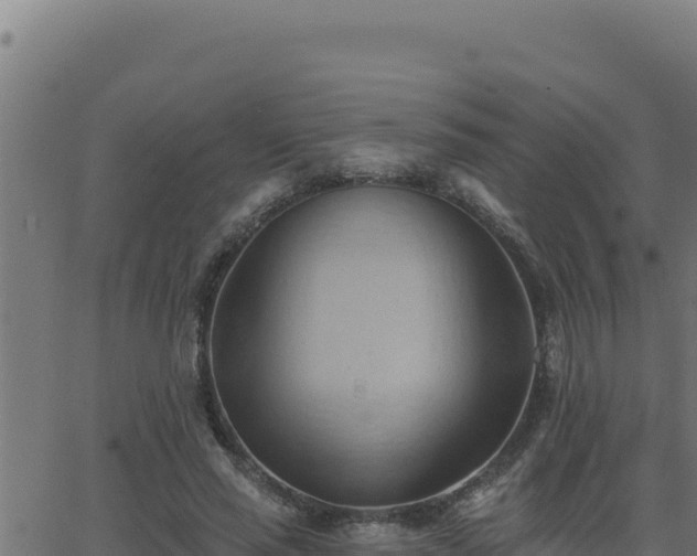 X0000062890637200601171514