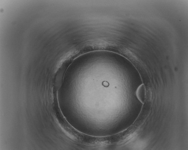 X0000062890638200601171514