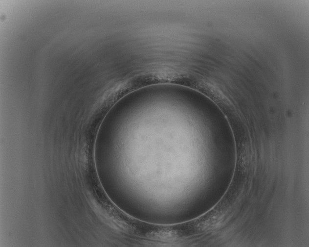 X0000062890639200601171514