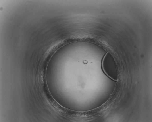 X0000062890640200601171514