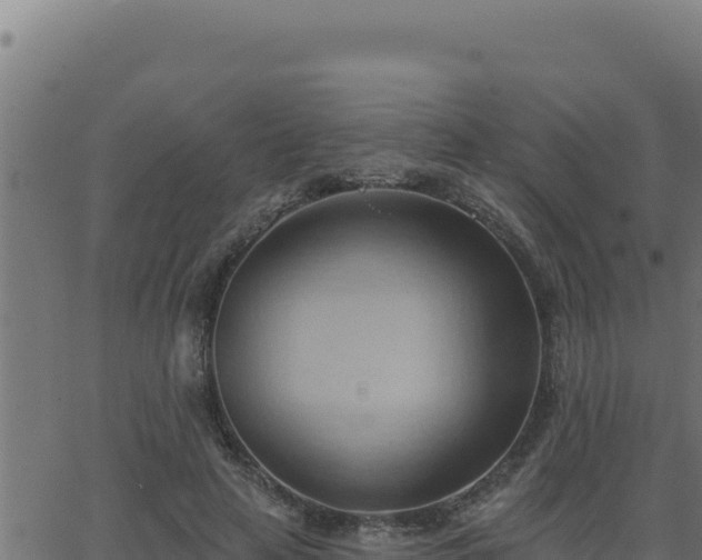 X0000062890641200601171514