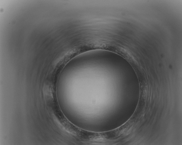 X0000062890643200601171514