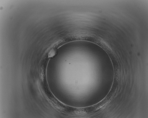 X0000062890644200601171514