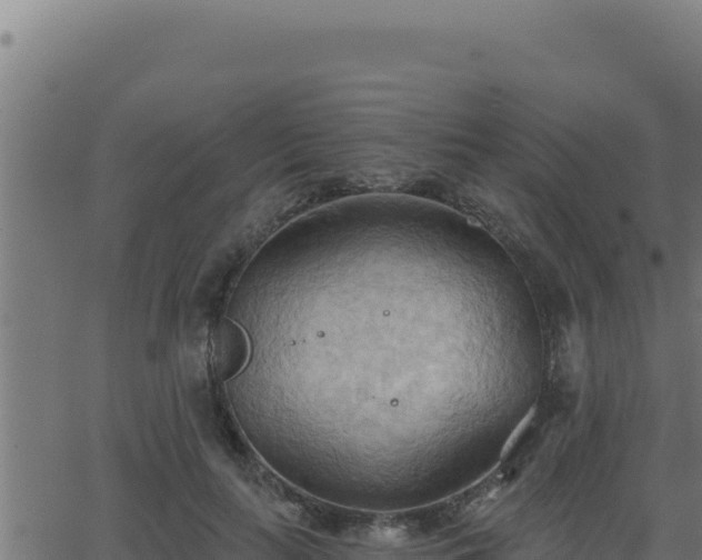 X0000062890647200601171515