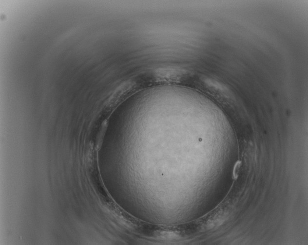 X0000062890649200601171515