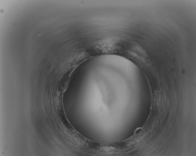 X0000062890650200601171515