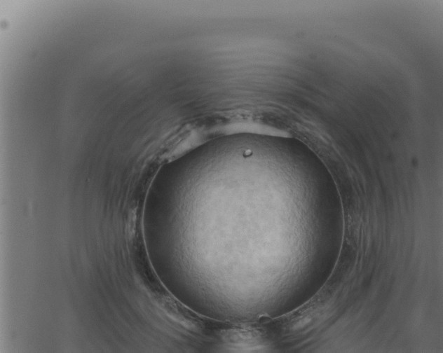 X0000062890652200601171515