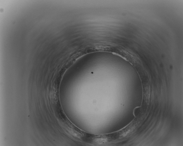 X0000062890653200601171515