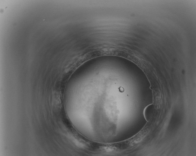 X0000062890654200601171515