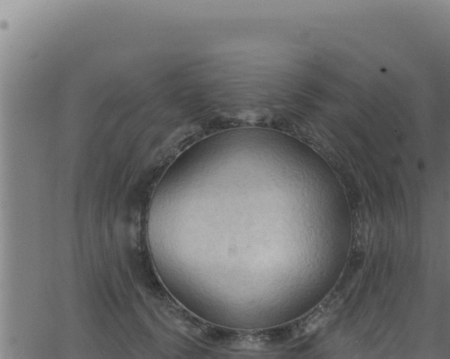 X0000062890656200601171515