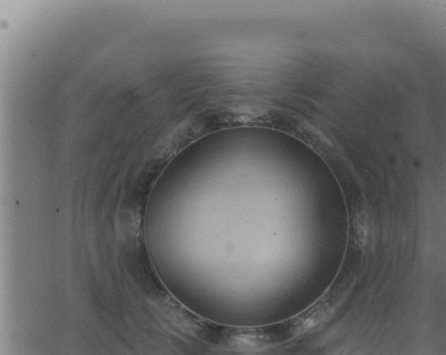 X0000062890657200601171515