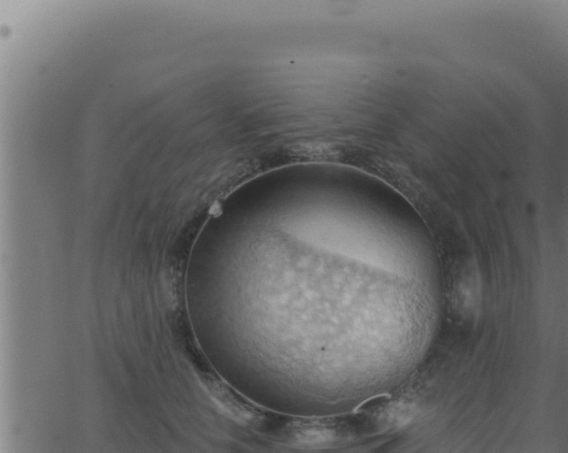 X0000062890658200601171515