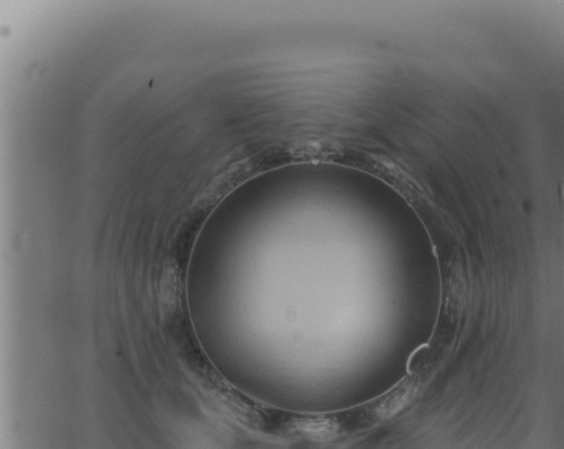 X0000062890659200601171515