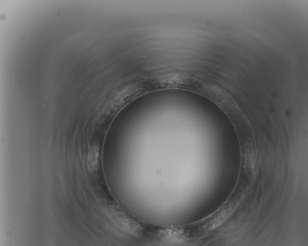 X0000062890660200601171515