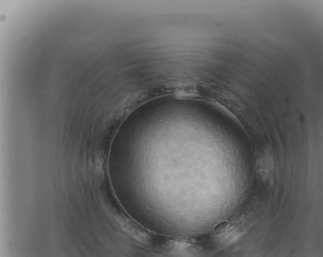 X0000062890662200601171515