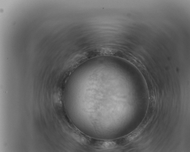 X0000062890663200601171515