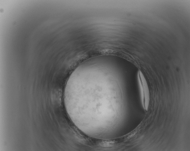 X0000062890664200601171515