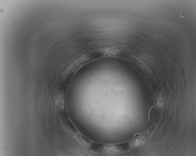 X0000062890666200601171515