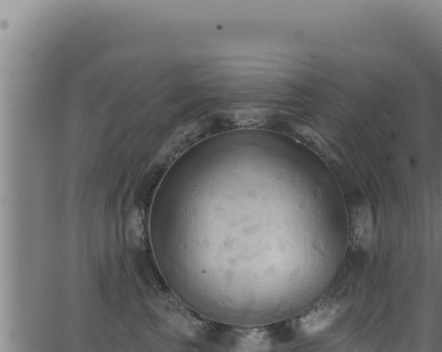 X0000062890667200601171515