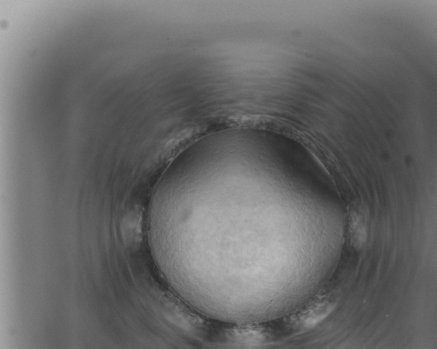 X0000062890668200601171515