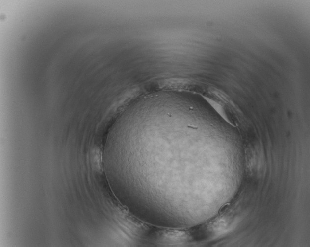 X0000062890669200601171515