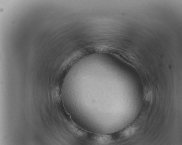 X0000062890670200601171515