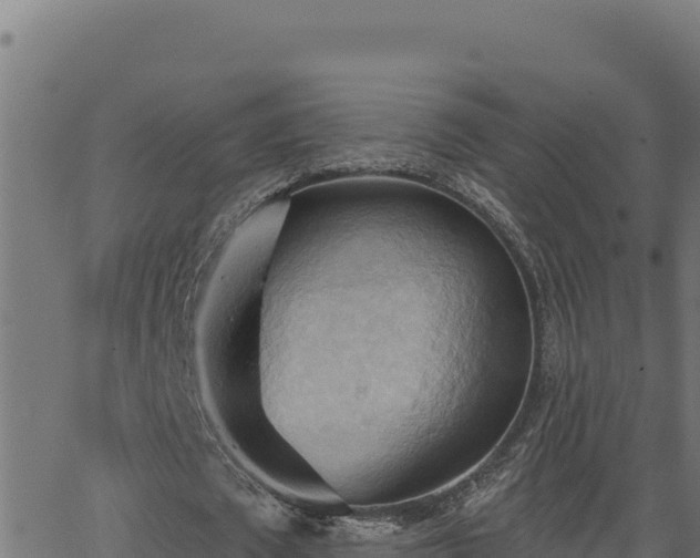 X0000062890673200601171514