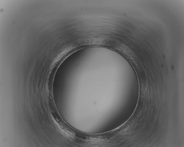 X0000062890674200601171514