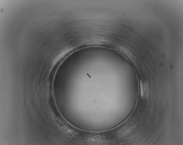 X0000062890675200601171514