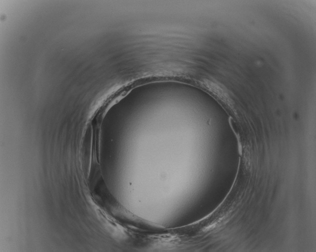 X0000062890676200601171514