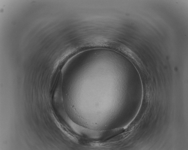 X0000062890677200601171514