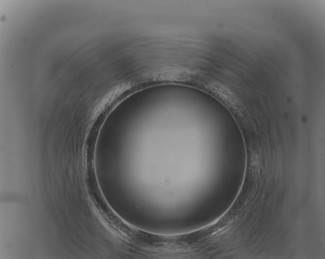 X0000062890678200601171514