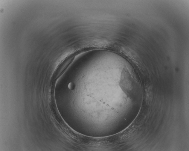 X0000062890679200601171514