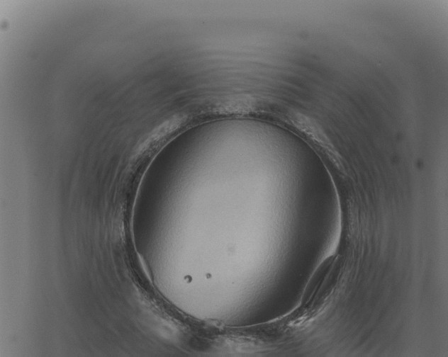 X0000062890681200601171514